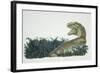 Tyrannosaurus, Jurassic Period-null-Framed Giclee Print