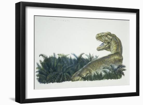 Tyrannosaurus, Jurassic Period-null-Framed Giclee Print