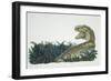 Tyrannosaurus, Jurassic Period-null-Framed Giclee Print