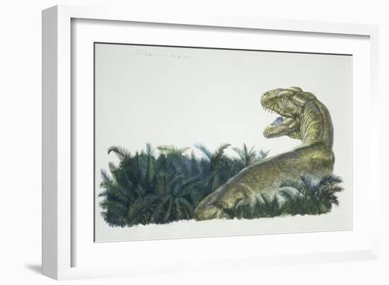 Tyrannosaurus, Jurassic Period-null-Framed Giclee Print