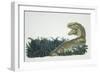 Tyrannosaurus, Jurassic Period-null-Framed Giclee Print