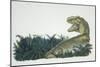 Tyrannosaurus, Jurassic Period-null-Mounted Giclee Print