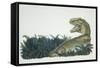 Tyrannosaurus, Jurassic Period-null-Framed Stretched Canvas