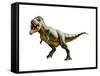Tyrannosaurus Rex, a Genus of Coelurosaurian Theropod Dinosaur-null-Framed Stretched Canvas