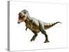 Tyrannosaurus Rex, a Genus of Coelurosaurian Theropod Dinosaur-null-Stretched Canvas