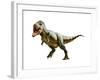 Tyrannosaurus Rex, a Genus of Coelurosaurian Theropod Dinosaur-null-Framed Art Print