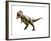 Tyrannosaurus Rex, a Genus of Coelurosaurian Theropod Dinosaur-null-Framed Art Print