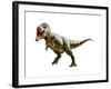 Tyrannosaurus Rex, a Genus of Coelurosaurian Theropod Dinosaur-null-Framed Art Print