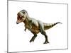 Tyrannosaurus Rex, a Genus of Coelurosaurian Theropod Dinosaur-null-Mounted Art Print