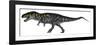Tyrannosaurus Rex, a Large Predator of the Cretaceous Period-null-Framed Art Print