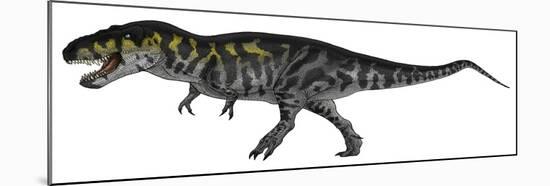 Tyrannosaurus Rex, a Large Predator of the Cretaceous Period-null-Mounted Art Print
