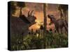 Tyrannosaurus Rex and Triceratops Meet for a Battle to the Death-Stocktrek Images-Stretched Canvas