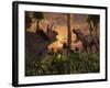 Tyrannosaurus Rex and Triceratops Meet for a Battle to the Death-Stocktrek Images-Framed Photographic Print