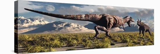 Tyrannosaurus Rex and Triceratops Meet for a Battle to the Death-null-Stretched Canvas