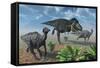 Tyrannosaurus Rex Attacking a Herd of Parasaurolophus Duckbill Dinosaurs-null-Framed Stretched Canvas