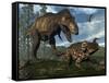 Tyrannosaurus Rex Attacking an Einiosaurus Dinosaur-Stocktrek Images-Framed Stretched Canvas