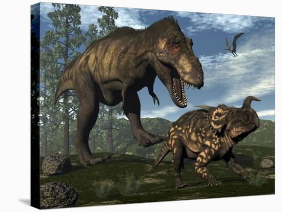 Tyrannosaurus Rex Attacking an Einiosaurus Dinosaur-Stocktrek Images-Stretched Canvas