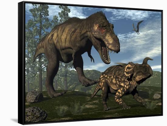 Tyrannosaurus Rex Attacking an Einiosaurus Dinosaur-Stocktrek Images-Framed Stretched Canvas