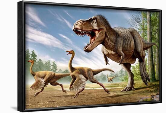 Tyrannosaurus Rex Attacking Two Struthiomimus Dinosaurs-null-Framed Art Print