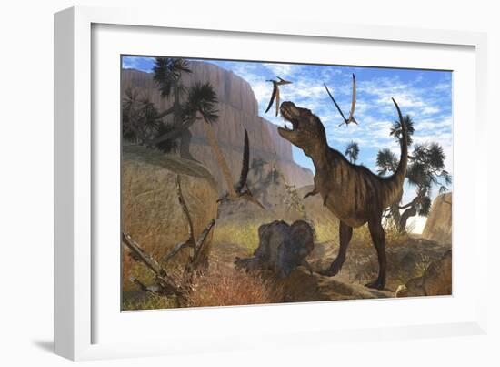 Tyrannosaurus Rex Attempts to Eat His Triceratops Kill While Pteranodons Harass Him-null-Framed Premium Giclee Print