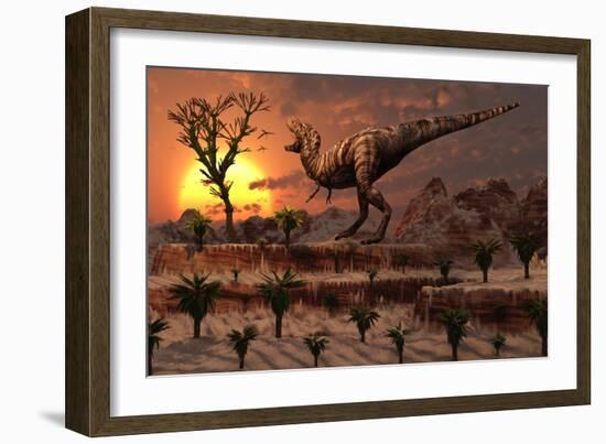 Tyrannosaurus Rex Calling Out to Find a Possible Mate-null-Framed Art Print