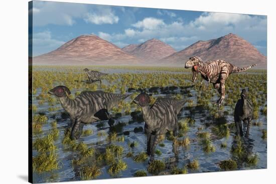 Tyrannosaurus Rex Chasing a Herd of Parasaurolophus Dinosaurs-null-Stretched Canvas