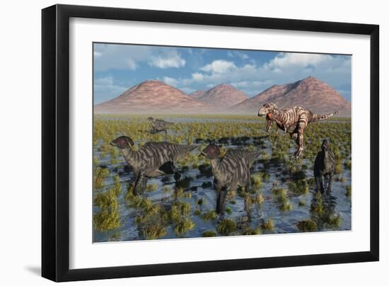 Tyrannosaurus Rex Chasing a Herd of Parasaurolophus Dinosaurs-null-Framed Art Print