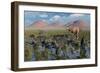 Tyrannosaurus Rex Chasing a Herd of Parasaurolophus Dinosaurs-null-Framed Premium Giclee Print