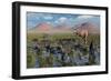 Tyrannosaurus Rex Chasing a Herd of Parasaurolophus Dinosaurs-null-Framed Premium Giclee Print