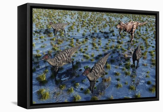 Tyrannosaurus Rex Chasing a Herd of Parasaurolophus Dinosaurs-null-Framed Stretched Canvas