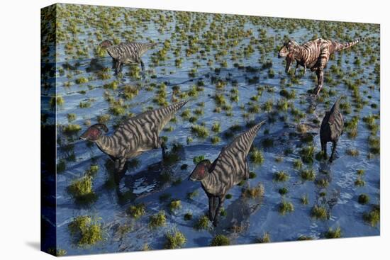 Tyrannosaurus Rex Chasing a Herd of Parasaurolophus Dinosaurs-null-Stretched Canvas