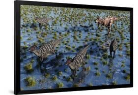 Tyrannosaurus Rex Chasing a Herd of Parasaurolophus Dinosaurs-null-Framed Art Print