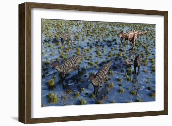 Tyrannosaurus Rex Chasing a Herd of Parasaurolophus Dinosaurs-null-Framed Art Print