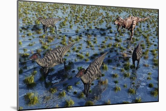 Tyrannosaurus Rex Chasing a Herd of Parasaurolophus Dinosaurs-null-Mounted Art Print