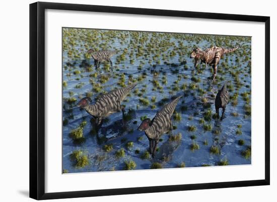 Tyrannosaurus Rex Chasing a Herd of Parasaurolophus Dinosaurs-null-Framed Art Print