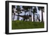 Tyrannosaurus Rex Confronts a Large Brachiosaurus-null-Framed Premium Giclee Print