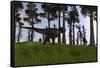 Tyrannosaurus Rex Confronts a Large Brachiosaurus-null-Framed Stretched Canvas