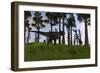 Tyrannosaurus Rex Confronts a Large Brachiosaurus-null-Framed Art Print