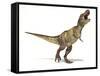 Tyrannosaurus Rex Dinosaur, Artwork-null-Framed Stretched Canvas