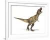 Tyrannosaurus Rex Dinosaur, Artwork-null-Framed Photographic Print