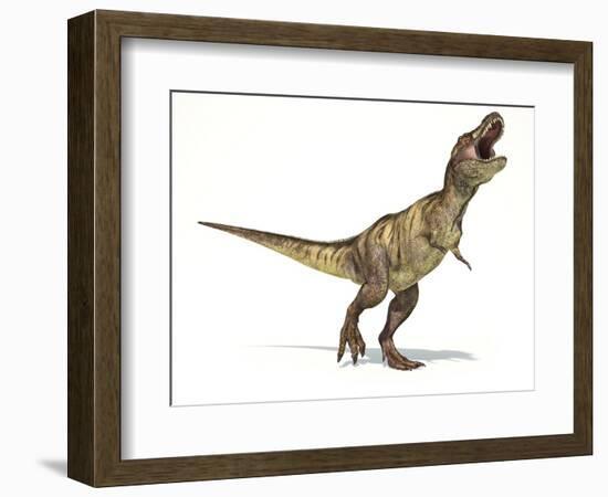 Tyrannosaurus Rex Dinosaur, Artwork-null-Framed Photographic Print