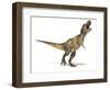 Tyrannosaurus Rex Dinosaur, Artwork-null-Framed Photographic Print