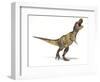 Tyrannosaurus Rex Dinosaur, Artwork-null-Framed Photographic Print