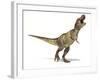 Tyrannosaurus Rex Dinosaur, Artwork-null-Framed Photographic Print