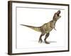 Tyrannosaurus Rex Dinosaur, Artwork-null-Framed Photographic Print