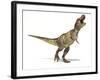 Tyrannosaurus Rex Dinosaur, Artwork-null-Framed Photographic Print