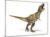 Tyrannosaurus Rex Dinosaur, Artwork-null-Mounted Photographic Print
