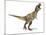 Tyrannosaurus Rex Dinosaur, Artwork-null-Mounted Photographic Print