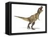 Tyrannosaurus Rex Dinosaur, Artwork-null-Framed Stretched Canvas