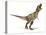 Tyrannosaurus Rex Dinosaur, Artwork-null-Stretched Canvas